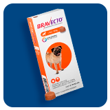 Departamento de produtos de Pet Shop da Drogaria Araujo